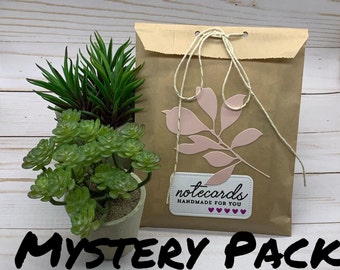 Handmade Note Cards Set of 14 ~ Mystery Pack ~ Assorted Surprise Bag ~ Blank Kraft Stationery Bundle ~ Gift Set ~ PinkPeppermintShoppe