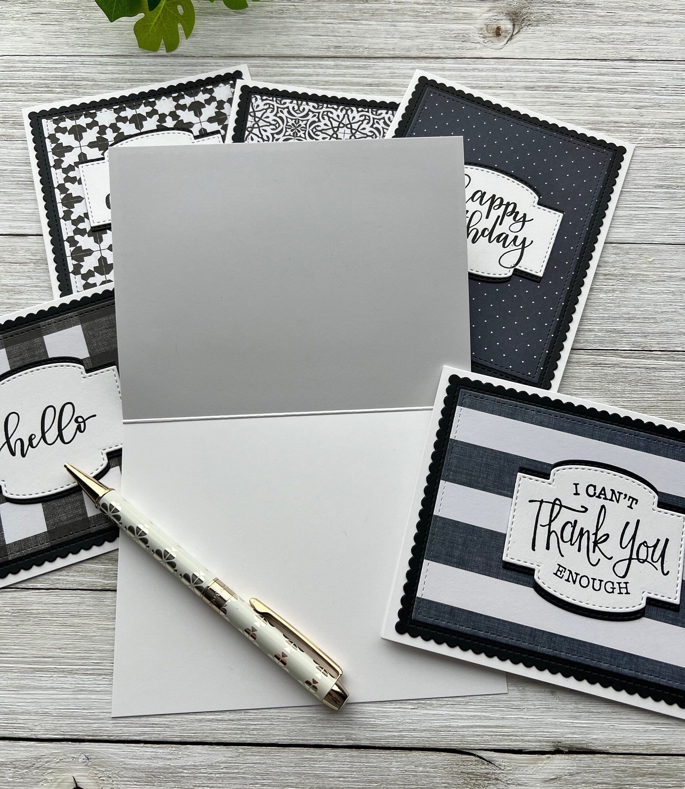 Set of 6 ~ Assorted Note Cards ~ Thank You ~ Birthday ~ Thinking of You ...