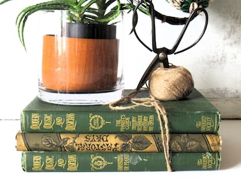 Zestaw książek w stylu vintage w kolorze zielonym: dekoracja biblioteczna, rekwizyty do zdjęć (zestaw trzech sztuk)