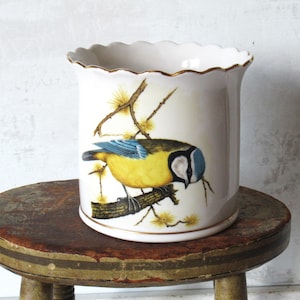 May include: A white ceramic cylindrical planter with a scalloped top edge and a gold-toned rim. The exterior features a detailed illustration of a blue and yellow bird perched on a brown branch with yellow accents, set against a plain white background.
