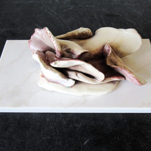 Puede incluir: Escultura de cerámica de una flor con pétalos blanquecinos y toques rosados y marrones. La flor descansa sobre una superficie blanca con aspecto de mármol, con un fondo oscuro.