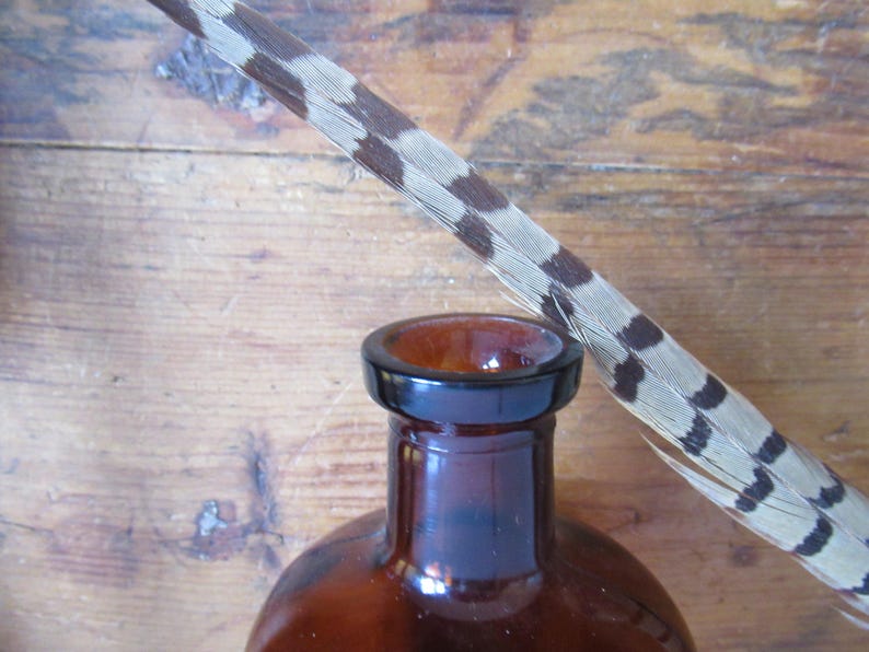 May include: A brown glass bottle with a black rim and a feather with brown and white markings. The feather is angled across the top of the bottle, set against a wooden background.