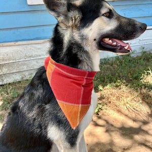 May include: A medium-sized dog with black, white, and tan fur wearing a triangular pet bandana. The bandana features a vibrant red and orange plaid pattern with thin white grid lines, tied securely around the neck of the animal.
