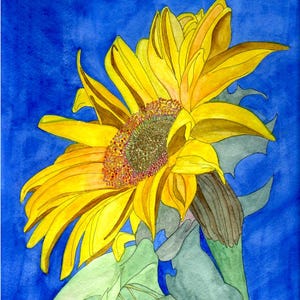 Fleurs du jardin de Jon : cinq de mes aquarelles dans un jeu de cartes.