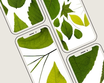 5er-Pack – iPhone-Hintergrundbilder-Bundle „Grüne Natur“