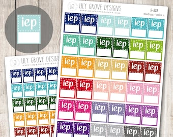 S-525 - IEP Tracker Tag Flag Planner Stickers - Teacher Planner Stickers - School Stickers - Use for Erin Condren and Plum Paper Planners