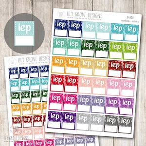 S-525 - IEP Tracker Tag Flag Planner Stickers - Teacher Planner Stickers - School Stickers - Use for Erin Condren and Plum Paper Planners