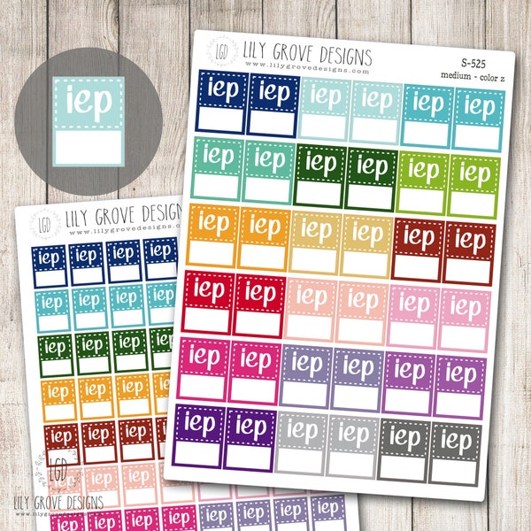 S-525 - IEP Tracker Tag Flag Planner Stickers - Teacher Planner Stickers - School Stickers - Use for Erin Condren and Plum Paper Planners