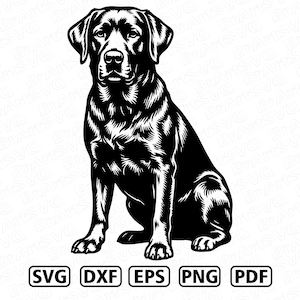 Pode incluir: Uma ilustração gráfica a preto e branco de um Labrador Retriever sentado numa posição frontal. Abaixo do cão, o texto SVG, DXF, EPS, PNG e PDF é exibido em cinco caixas retangulares separadas com contornos pretos.