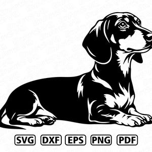Pode incluir: Uma ilustração gráfica a preto e branco de um cão dachshund em posição deitada, virado para a direita. Abaixo do cão, o texto diz SVG, DXF, EPS, PNG e PDF em cinco caixas retangulares separadas com cantos arredondados.