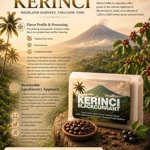 Arabica Kerinci Sumatra Coffee Beans | Anaerobic Infusion | Single Origin Indonesian | Medium Roast