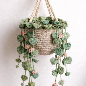 Peut inclure: Une plante suspendue au crochet dans un pot beige avec des feuilles vertes en forme de cœur et de petites fleurs roses. La plante est suspendue par des cordons en crochet beige attachés à un anneau en bois, formant un ensemble décoratif.