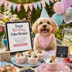 Può includere: Un cane dal pelo chiaro indossa un cappellino da festa blu a pois e una bandana rosa con la scritta Birthday Girl. Un tablet mostra Dog Birthday Cake Recipes, 10 Easy Homemade Pupcake & Party Treat Recipes, Printable PDF. Cupcakes con biscotti.