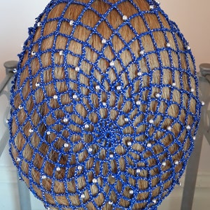 May include: A blue hair net with silver beads. The net is made of a fine mesh material and is designed to hold hair in place.
