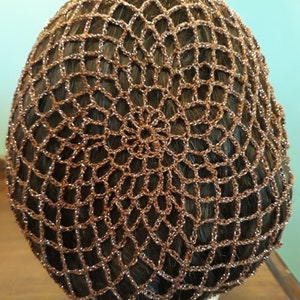 May include: A brown, open-weave hair net, likely for securing hair. The net is made of a metallic thread, creating a shimmering effect. The net is covering a head of dark brown hair. The net's design is a series of interconnected squares.