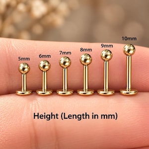 May include: Six gold-toned metal labret studs with spherical ends, arranged in increasing sizes from 5mm to 10mm. Each stud features a flat circular base and a vertical post. The text "Height (Length in mm)" is printed below the studs.