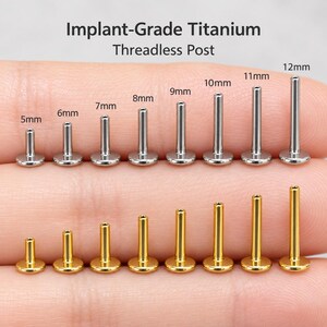 Può includere: Implant-Grade Titanium Threadless Post. Una collezione di perni per piercing in metallo color argento e oro disposti su due file, con lunghezze etichettate da 5mm a 12mm sopra ogni perno, che mostrano una base circolare piatta e una parte superiore cava.