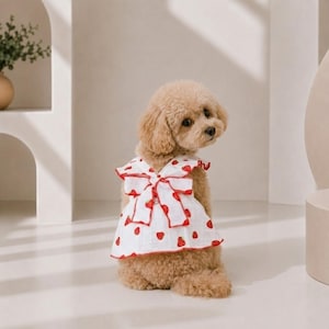 Strawberry Dog Dress - Etsy
