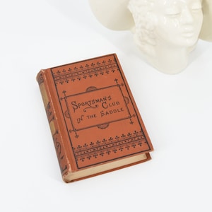Antique In The Saddle book