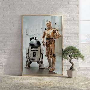 May include: A framed wall art print featuring a metallic gold humanoid robot standing next to a white and blue cylindrical droid. The scene is set in a bright, sterile white corridor with panels and doors, capturing the two iconic science fiction characters.