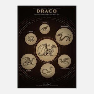Dragons of the World Wall Art - Medieval Bestiary Heraldry Chart - Fantasy Book Lover Gift
