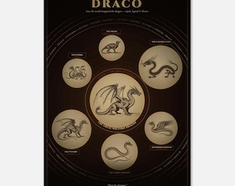 Dragons of the World Wall Art - Medieval Bestiary Heraldry Chart - Fantasy Book Lover Gift