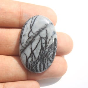Könnte beinhalten: Ein ovaler Cabochon-Edelstein mit einer glatten, polierten Oberfläche, einer hellgrauen Grundfarbe und komplizierten, tiefschwarzen dendritischen oder astähnlichen Mustern, die sich in einer natürlichen, organischen Anordnung über den Stein verteilen.