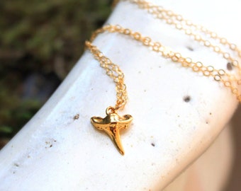 Vermeil Gold Shark Tooth Necklace: Minimalist Ocean Jewelry