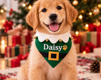 May include: A golden retriever puppy wearing a green and white elf-themed pet bandana. The bandana features a white scalloped collar with small gold bells, a black belt design with a yellow buckle, and the name Daisy printed in white text.