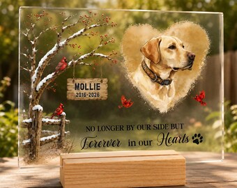 Placa conmemorativa para mascotas, recuerdo personalizado para gatos, letrero "Siempre amado", regalo de condolencia
