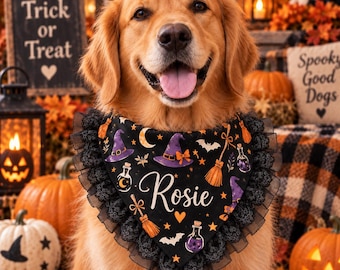 May include: A golden retriever wearing a black triangular pet bandana with a ruffled lace trim. The fabric features a Halloween pattern of purple witch hats, orange broomsticks, bats, and potion bottles, with the name Rosie in white script.