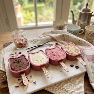 May include: Four cat-shaped frozen treats in pink silicone molds with wooden sticks. The flavors include dark chocolate with chips, vanilla, berry, and caramel swirl. Each treat features an embossed cat face design on the surface.