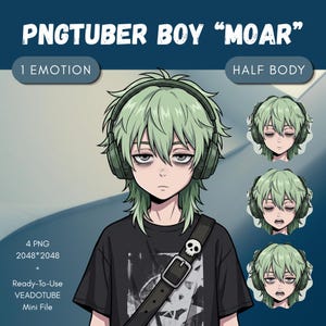 May include: A digital character illustration titled PNGTUBER BOY MOAR featuring a half-body figure with light green hair, dark-rimmed eyes, and headphones. The character wears a black t-shirt with a skull-adorned strap. Includes 4 PNG 2048*2048 files.