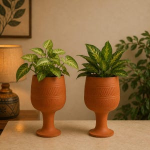 Op de afbeelding: Twee terracotta-kleurige plantenbakken in de vorm van kelken op een voet, elk voorzien van horizontale banden met textuurpatronen. De linker plantenbak bevat een plant met lichtgroene, pijlvormige bladeren, de rechter een plant met gevlekte bladeren.