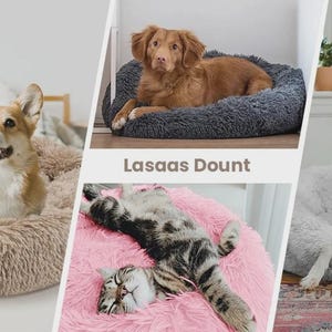 Winter Dog Bed, Winter Pet Bed, Warm Plush Bed, Cozy Winter Bed, Cold Weather Pet Bed, Insulated Pet Bed, Warm Dog Cushion, Plush Winter Bed
Anti Anxiety Dog Bed, Calming Pet Bed, Donut Pet Bed, Deep Sleep Pet Bed, Relaxing Pet Bed, Pet Comfort Bed, Anxiety Dog Bed, Supportive Pet Bed