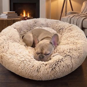 Washable Pet Bed, Washable Dog Bed, Washable Cat Bed, Easy Clean Pet Bed, Durable Pet Bed, Soft Plush Bed, Pet Cushion, Pet Bedding
Luxury Dog Bed, Premium Pet Bed, Plush Pet Mattress, Soft Dog Cushion, Pet Lounge Bed, Dog Sofa Bed, Cozy Dog Cushion, Pet Furniture