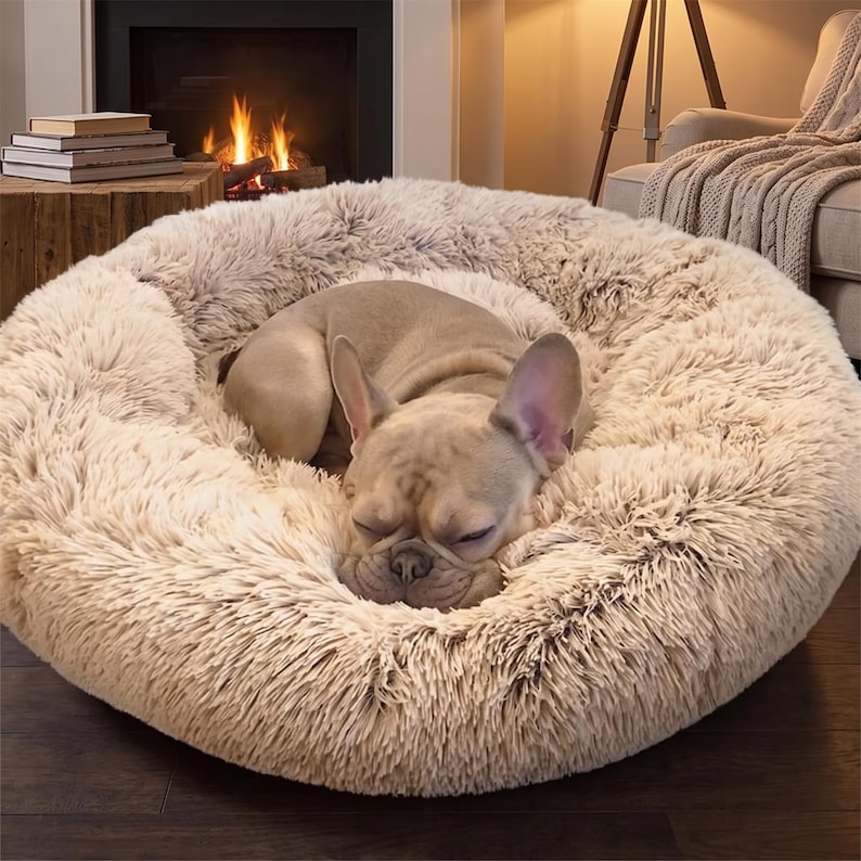 Washable Pet Bed, Washable Dog Bed, Washable Cat Bed, Easy Clean Pet Bed, Durable Pet Bed, Soft Plush Bed, Pet Cushion, Pet Bedding
Luxury Dog Bed, Premium Pet Bed, Plush Pet Mattress, Soft Dog Cushion, Pet Lounge Bed, Dog Sofa Bed, Cozy Dog Cushion, Pet Furniture