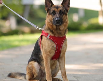 Verstelbare hondenriem | Ademend puppyvest voor chihuahua, Franse bulldog, katten en kleine honden