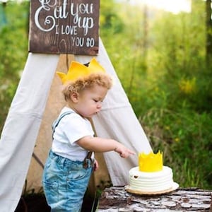 Felt and Fur Birthday Costume Crown - Where the Wild Things Are - King of All the Wild Things - Wild things Crown - Max Wild Things - Fur