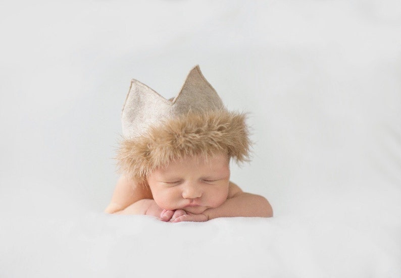 Felt and Fur Birthday/Costume Crown Where the Wild Things Are King of All the Wild Things image 1