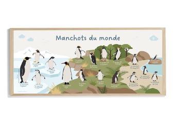 Póster de Pingüinos del Mundo - Edición Especial