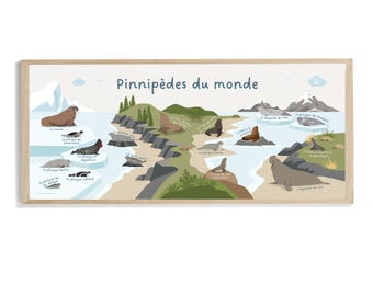 Pinnipeds of the World Poster - Special Edition