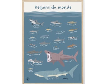 Póster de Tiburones del Mundo - Edición Especial