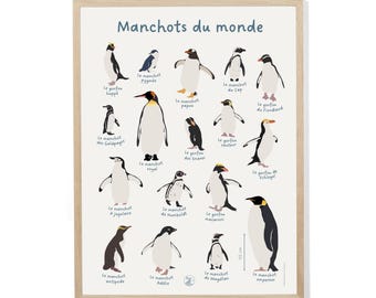 Póster de los pingüinos del mundo