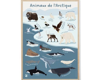 Póster de animales del Ártico - Edición especial