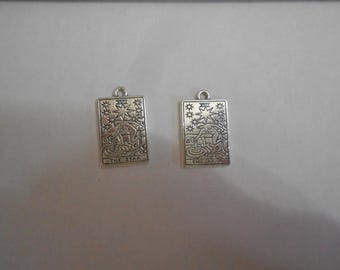 Pendant or Charm - TAROT CARD - The Star
