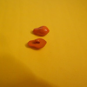 Puede incluir: Dos pequeños objetos anaranjados con forma de hongo se muestran sobre un fondo amarillo brillante. Uno está en posición vertical y el otro está plano. Los objetos tienen una textura suave y brillante y parecen estar hechos de un material sólido.