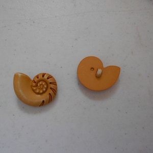 Novelty Button -  Nautilus Shell - Brown - 1 1/4&quot;