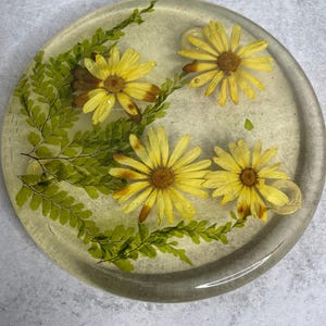 May include: A clear resin coaster with yellow daisies and green fern leaves embedded inside. The coaster is round and has a slightly textured surface, showcasing the natural elements within.
