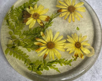 Vintage Round Lucite pressed daisy flowers footed Trivet hot pad  decor 8"